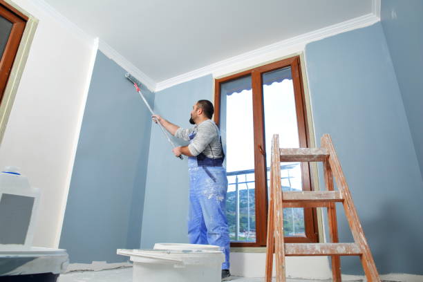  Sebastopol, CA Dry wall and painting Pros