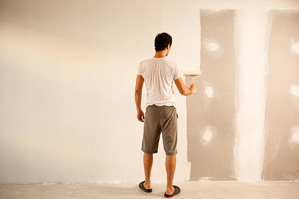 Best Eco-Friendly and Low-VOC Painting  in Sebastopol, CA