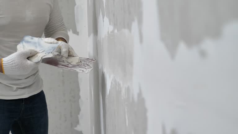 Best Drywall Sanding and Smoothing  in Sebastopol, CA